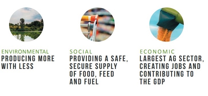3 pillars of corn sustainability